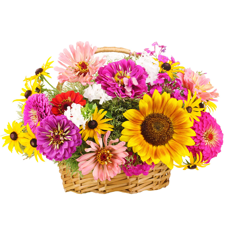 Цветы учительнице