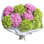 Букет из 9 розовых и зеленых гортензий